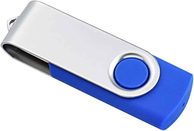 Aiibe 2GB Flash Drive USB Flash Drive Thumb Drives 2G USB 2.0 Memory Stick Wholesale/Lot/Bulk (2GB, 10 Pack, Blue)