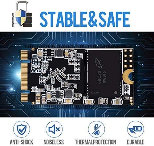 SSD SATA M.2 2242 500GB Shark Speed Ngff Internal Solid State Drive High Performance Hard Drive for Desktop Laptop SATA III 6Gb/s Includes SSD (500GB, M.2 2242)