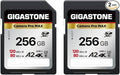 [5-Yrs Free Data Recovery] GIGASTONE 256GB 2-Pack SD Card, 4K Camera Pro MAX, A2 4K SDXC Memory Card High Speed 4K UHD Video Compatible with Canon Kodak Digital Camera, with 2 Mini case