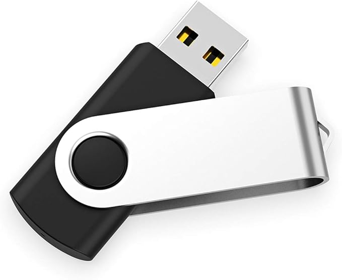 USB Flash Drive 1GB 20 Pack, Bulk USB 2.0 Flash Drives Thumb Drive Swivel Memory Stick Jump Drive Pen Drive,1 gig 20 Pieces