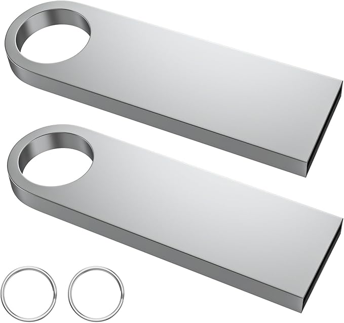 ABLAZE 1GB Flash Drive 2 Pack, Metal USB 2.0 Thumb Drives with Keychains USB Stick Pendrive (Sliver)
