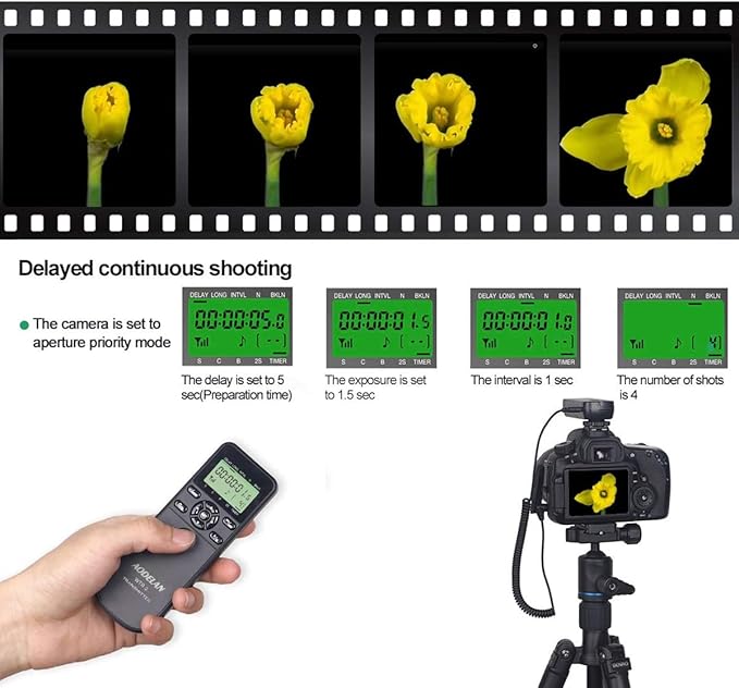 Wireless Shutter Intervalometer Timer Control with LCD and HDR for Nikon D750, D5300, D5600, D7200, D7500, Z6, Z7, Z9, D800, D850, Coolpix P1000