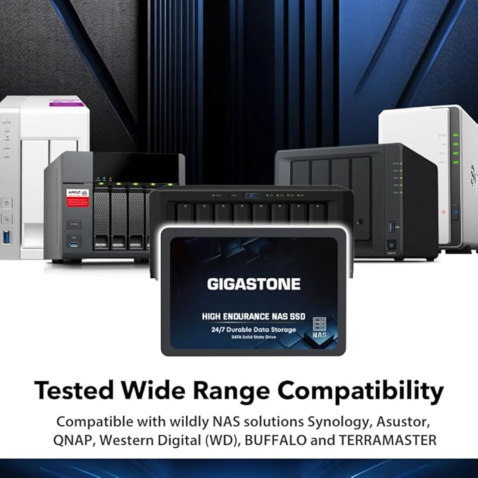 Gigastone 1TB NAS SSD Drive (24-Pack) 24/7 Durable TLC High Endurance RAID Data Storage Network Attached Storage 2.5" SATA Internal Solid State Hard Drives