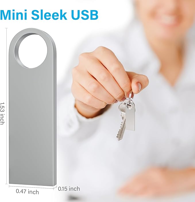 ABLAZE Custom Flash Drive 1GB 10 Pack, Personalized USB with Your Logo Metal Thumb Drives USB 2.0 Memory Stick Pendrive (Sliver)