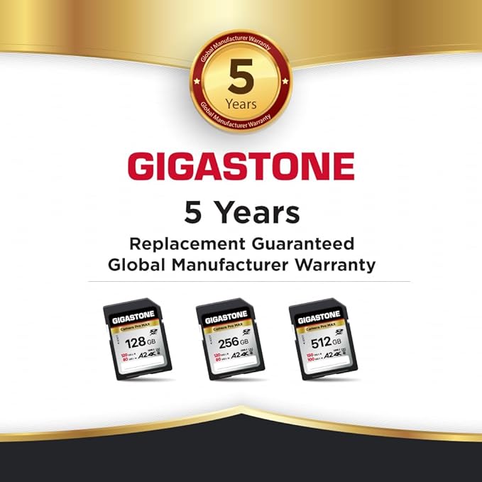 [5-Yrs Free Data Recovery] GIGASTONE 256GB 2-Pack SD Card, 4K Camera Pro MAX, A2 4K SDXC Memory Card High Speed 4K UHD Video Compatible with Canon Kodak Digital Camera, with 2 Mini case
