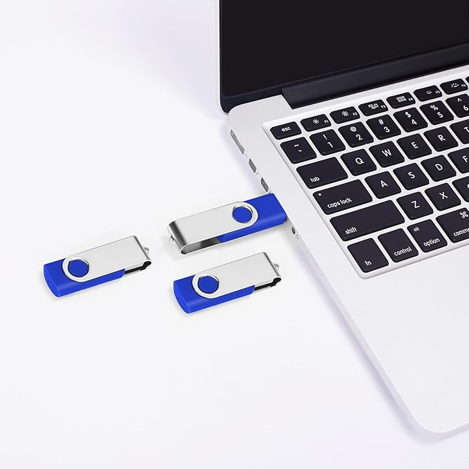 USB 1GB Bulk Flash Drives 20 Pack, EASTBULL USB 2.0 Swivel Thumb Drives Gig Flash Drives Pack Metal Memory Stick for Storage (Blue)