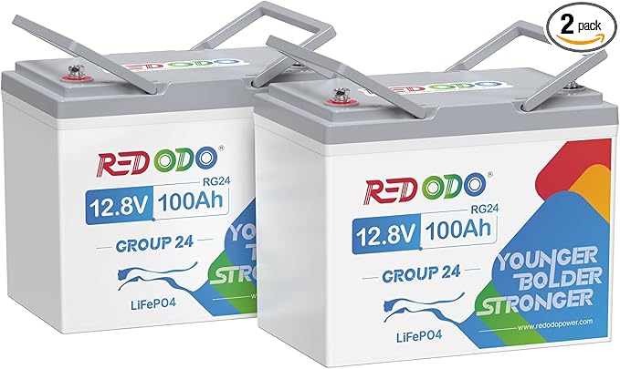 Redodo 2 Pack 12V 100Ah Group 24 Battery, 1280Wh Deep Cycle LiFePO4 Battery with 100A BMS, 4000+ Cycles Lithium Rechargable Battery for All RVs, Van, Camper, Solar Power Storage, Off-Grid