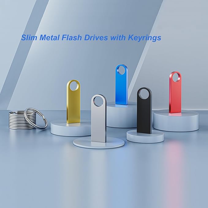 5 Pack 1GB USB Flash Drive with Keychains, Wooolken Sleek Metal USB 2.0 Thumb Drives Memory Stick for PC Laptop Computer