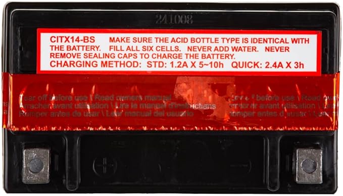 Interstate Batteries YTX14-BS 12V 12Ah Powersports Battery 200CCA AGM Rechargeable Replacement for Motorcycles, ATVs, UTVs, Scooters, Snowmobiles (CITX14-BS)