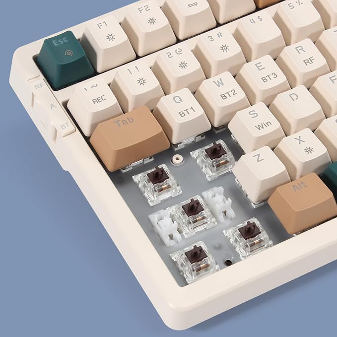 Wireless Mechanical Keyboard, Triple Mode 2.4G/USB-C/BT Gaming Keyboards 100 Keys RGB Backlit, Brown Switch Rechargeable | Brown Combo