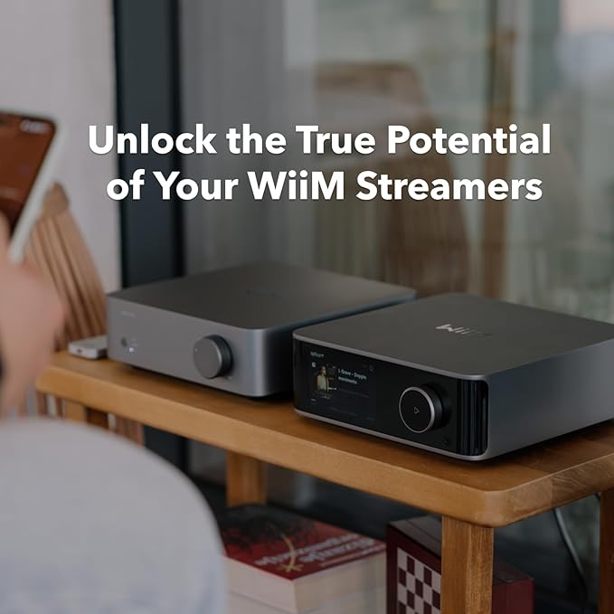 WiiM Vibelink Amp | 100W Power Amplifier with Premium ESS 9039Q2M DAC and TI TPA3255 | Compatible with WiiM Mini, Pro, Pro Plus, and Ultra | RCA, Coax, and Optical Inputs | Space Gray