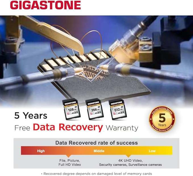 [5-Yrs Free Data Recovery] GIGASTONE 256GB 2-Pack SD Card, 4K Camera Pro MAX, A2 4K SDXC Memory Card High Speed 4K UHD Video Compatible with Canon Kodak Digital Camera, with 2 Mini case