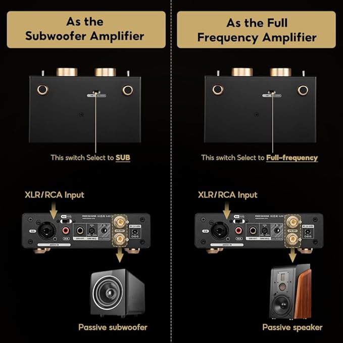 AIYIMA A70 Mono Amplifier with PFFB Home Audio Receiver,TPA3255 Class D Amp with Subwoofer for Home Theater Bookshelf Speaker,with XLR & RCA Inputs & Trigger Input