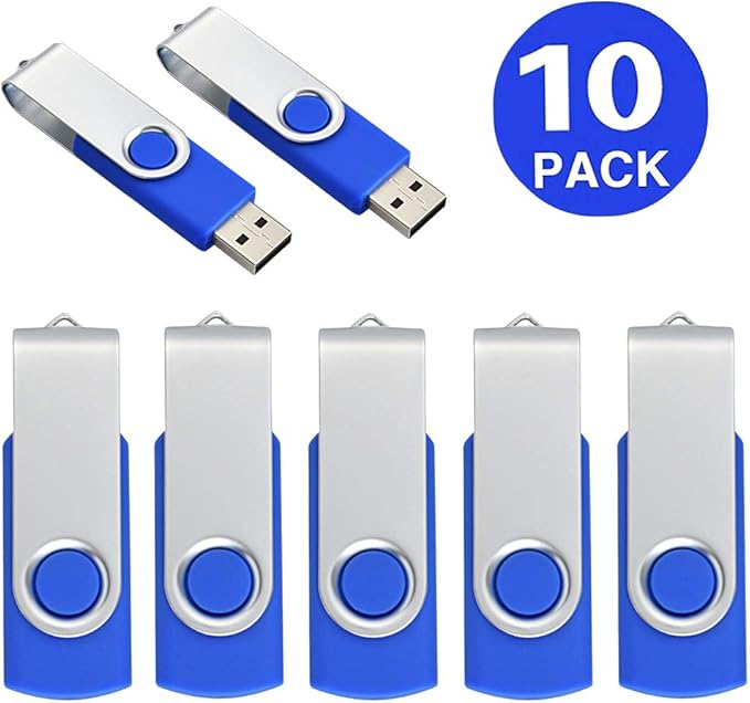 Aiibe 10 Pack 4GB 4G Flash Drive USB Flash Drive Thumb Drives USB 2.0 Memory Stick Wholesale/Lot/Bulk (4GB, 10 Pack, Blue)