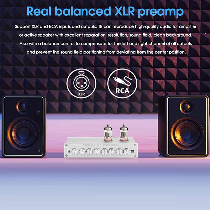 Douk Audio HiFi Vacuum Tube 7-Band EQ Preamp Equalizer XLR Pre-Amplifier Home (T8 PRO Silver)