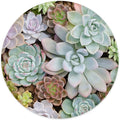 ITNRSIIET Round Mouse Pad with Stitched Edge Premium-Textured Waterproof Non-Slip Rubber Base Desktop Protection Mat Diameter 8.7 inches, Succulents