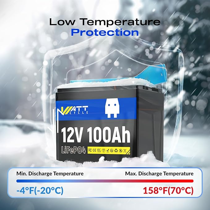 12V 100Ah LiFePO4 Lithium Battery 2 Pack - BCI Group 24, 15000 Cycles, Built-in 100A BMS, Low-Temperature Protection - Ideal for RVs, Golf Cart, Home Energy Storage, Marine (2 Pack)
