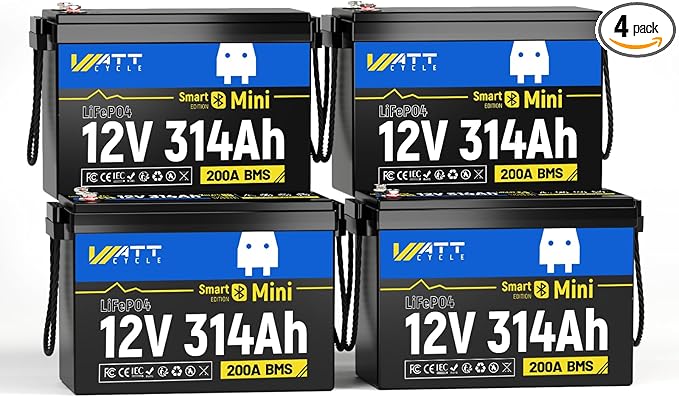 48V 314Ah (4 Packs) Mini LiFePO4 Lithium Battery with Bluetooth, Low-Temp Protection, 10000+ Deep Cycles, 16kWh Energy, for RV, Off-Grid, Solar Power System, Home Backup, Back up Power, Marine