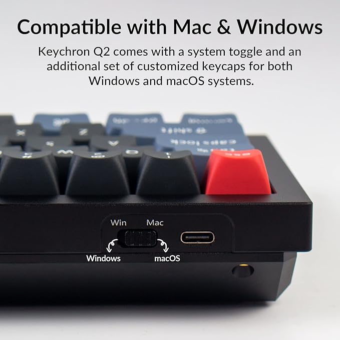 Keychron Q2 Wired Custom Mechanical Keyboard, QMK/VIA Programmable Macro, Full Aluminum, Hot-Swappable Gateron G Pro Blue Switch, 65% Layout Double Gasket Compatible with Mac and Windows - Black