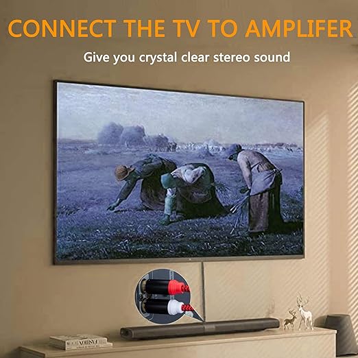 RCA Cable 6Ft,2Rca Male to 2-Rca Male Audio Stereo Subwoofer Cable [Hi-Fi Sound] Nylon-Braided Auxiliary Audio Cord for Home Theater, HDTV, Amplifiers, Hi-Fi Systems,Speakers and etc(6Ft/2M)