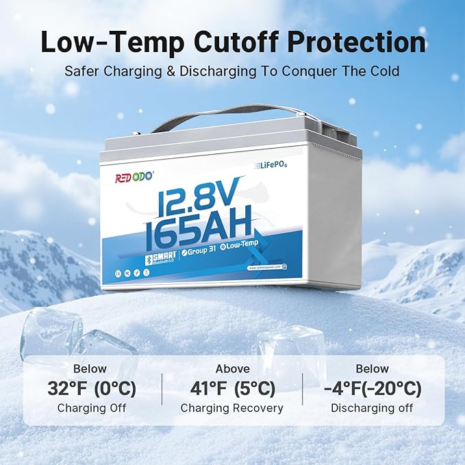 Redodo Group 31 Bluetooth LiFePO4 Battery 12V 165Ah, 2112Wh Max. Energy, 165A BMS with Low Temp Protection, Perfect for RV, Marine, Solar, Home Energy Storage (2 Pack)