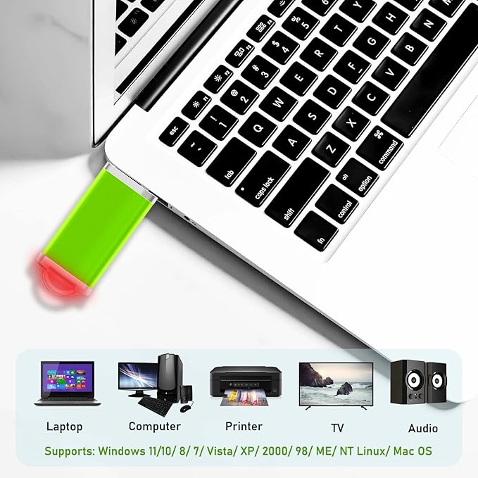 Memorias USB 4GB Flash Drive 50 Pack, USB 2.0 Thumb Drives Bulk Memory Sticks 4GB FAT32 USB Flash Drives Bulk Jump Drives Multipack Pack of 50 with Lanyard(Green 50 Packs 4 GB)