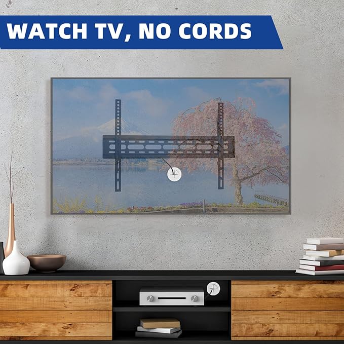 TV Wire Hider Kit for Wall Mount TV, White in Wall Cable Management Kit, Includes 2 Pass Throughs and Hole Saw Drill Attachment for Easy Install(Black) (RO-YCX-2P-BK)
