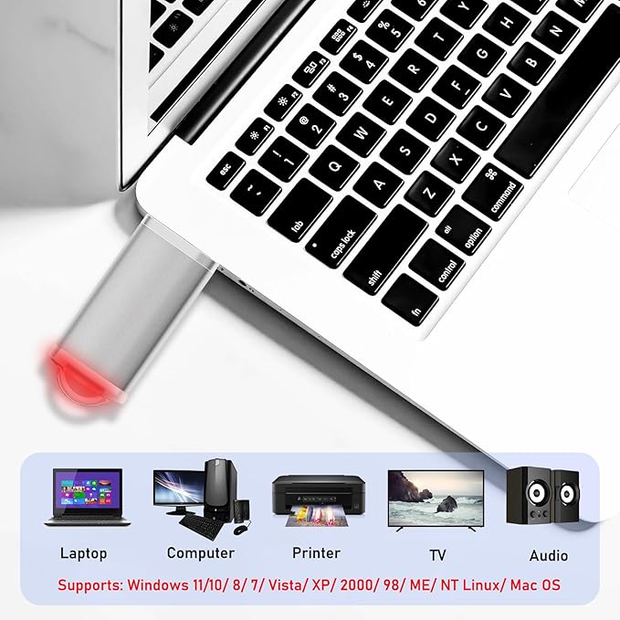 USB Thumb Drive 4GB Flash Drives 20 Pack, Nicepicten Memorias USB 2.0 Memory Stick FAT32 Flash Zip Drive 4 GB Jump Drives Multipack Pendrive with Landards and Lables (Sliver 4GB, 20 Pieces)