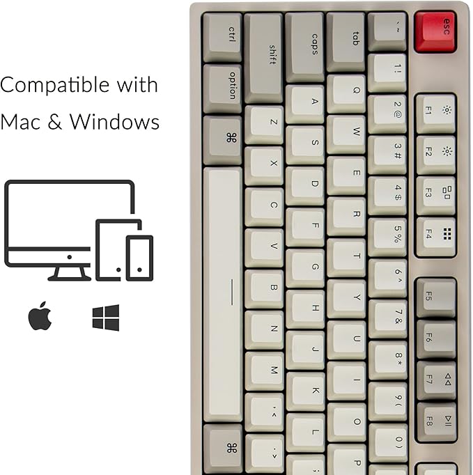 Keychron C2 Full Size Wired Mechanical Keyboard Compatible with Mac, Keychron Brown Switch, 104 Keys ABS Retro Color Keycaps Gaming Keyboard for Windows, USB-C Type-C Braid Cable