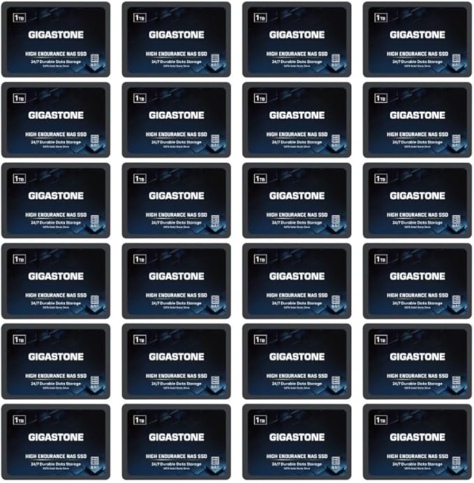 Gigastone 1TB NAS SSD Drive (24-Pack) 24/7 Durable TLC High Endurance RAID Data Storage Network Attached Storage 2.5" SATA Internal Solid State Hard Drives