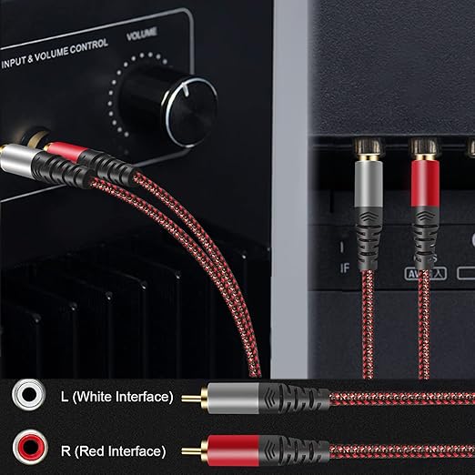 RCA Cable 10Ft,2Rca Male to 2-RCA Male Audio Stereo Subwoofer Cable [Hi-Fi Sound] Nylon-Braided Auxiliary Audio Cord for Home Theater, HDTV, Amplifiers, Hi-Fi Systems,Speakers and etc (10Ft)