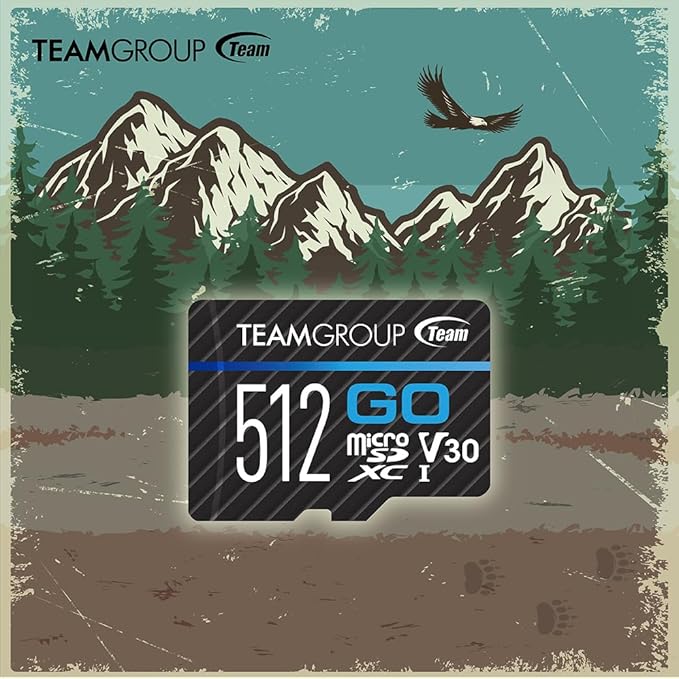 TEAMGROUP GO Card 64GB x 3 Pack Micro SDXC UHS-I U3 V30 4K for GoPro & Drone & Action Cameras High Speed Flash Memory Card for Outdoor Sports, 4K Shooting, Nintendo-Switch TGUSDX64GU365