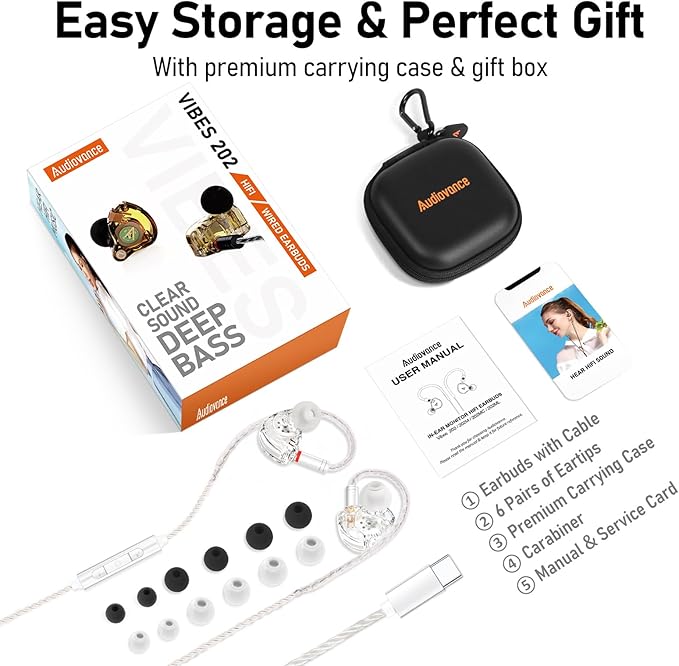 Vibes 202MC USB-C Wired Earbuds - HiFi in Ear Monitor Headphones - Noise Isolating Ear Buds w/ Mic - Clear Sound, Deep Bass & Comfort-Fit Earphones - MMCX to USBC, Silver Plated Cord, Carrying Case