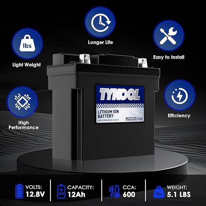 TYKOOL 51913,51814,53030,Digital Readout, High Performance Lithium Phosphate Motorcycle Battery, 600CCA,12Ah,Compatible for BMW Series Motorcycle R1300GT,R1600GT,Champion generator battery