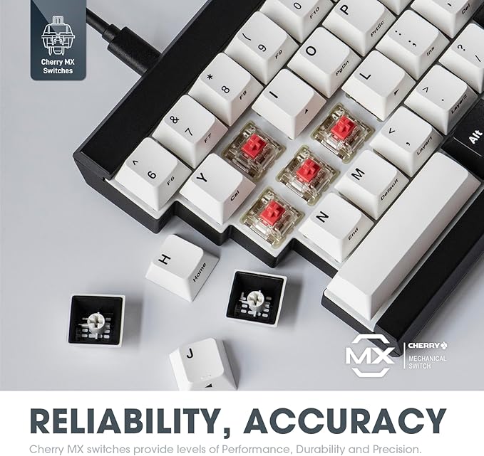 MD600 V3 RGB ORCA TKL Ergonomic Mechanical Keyboard, Cherry MX, Split Layout, PBT DoubleShot Keycap, Windows OS Compatible (Silent Red)
