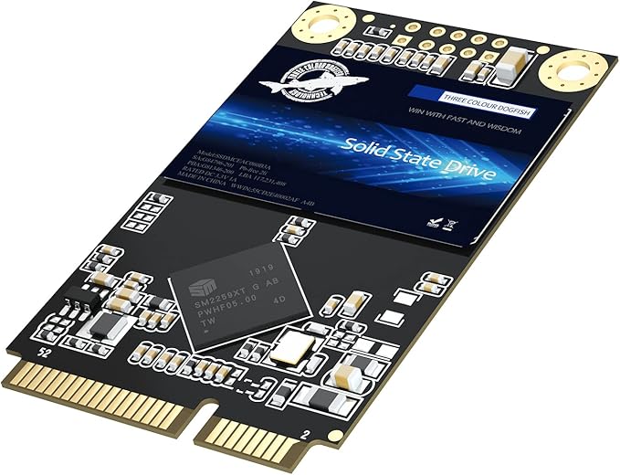 Dogfish mSATA SSD 250GB 3D NAND TLC SATA III 6 Gb/s, mSATA (30x50.9mm) Internal Solid State Drive - Compatible with Desktop PC Laptop - (MSATA 250GB)