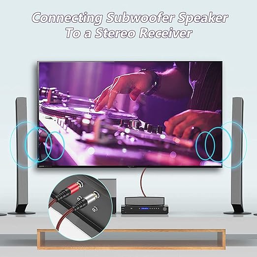RCA Cable 10Ft,2Rca Male to 2-RCA Male Audio Stereo Subwoofer Cable [Hi-Fi Sound] Nylon-Braided Auxiliary Audio Cord for Home Theater, HDTV, Amplifiers, Hi-Fi Systems,Speakers and etc (10Ft)