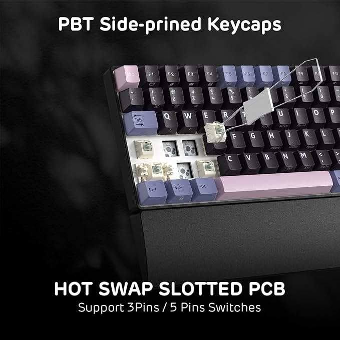 RK ROYAL KLUDGE RK96 RGB Limited Ed, 90% 96 Keys Wireless 3-Mode BT5.0/2.4G/USB-C Hot Swappable Mechanical Keyboard w/Wrist Rest, Volume Control, Software, Massive Battery, RK Pale Green Switch