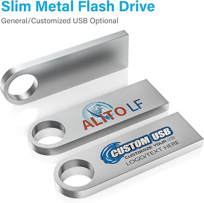 ABLAZE 2GB Flash Drive 2 Pack, Metal USB 2.0 Thumb Drives with Keychains USB Stick Pendrive (Sliver)