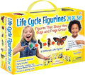 Insect Lore's Life Cycle Figurines 24 Pc Set | Butterfly, Ladybug, Frog, Honey Bee, Ant and Praying Mantis | 4 Stages Per Insect, 24 Figurines Total
