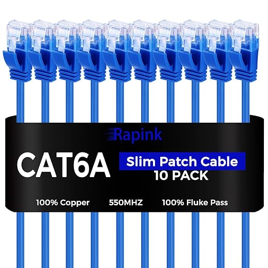 Rapink Cat6a 5ft Ethernet Cables (10 Pack) - Slim, 10G Support, Snagless, Flexible with Gold Plated Connectors