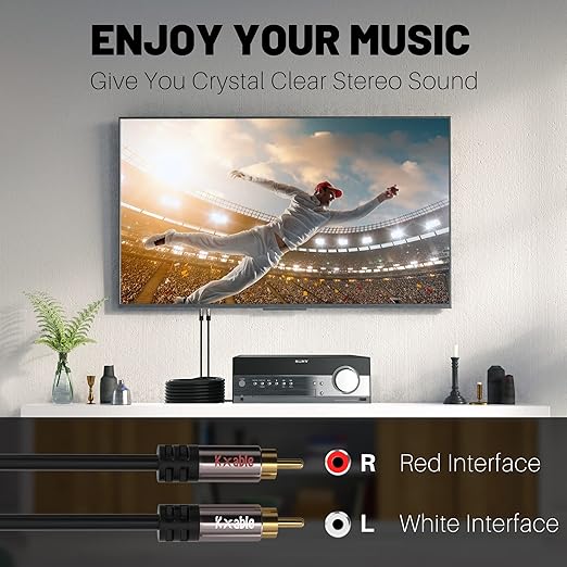 RCA Cable 100FT, 2RCA Male to 2RCA Male Stereo Audio Cable,【Oxygen-Free Copper, Hi-Fi Sound, Double Shielded】 2 RCA Car Audio Subwoofer Cord for Home Theater, HDTV, Amplifier, Hi-Fi System, Speaker
