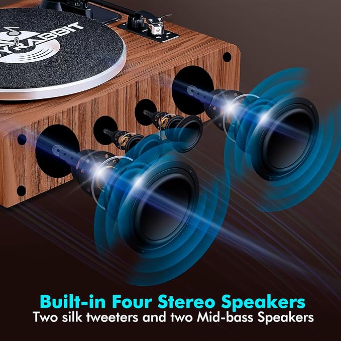 Record Player with Speakers,Turntables for Vinyl Records with Magnetic Cartridge for Home Decoration & Entertainment,Vinyl Record Player Will be a for Birthday and Christmas